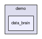 data_brain