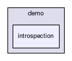 introspection