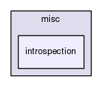 introspection